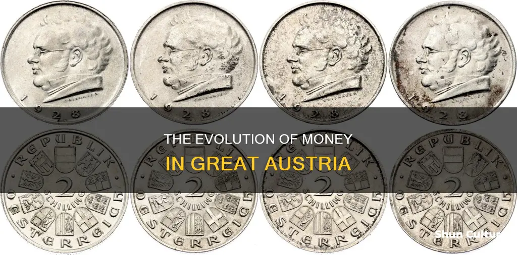 what is money called in great austria