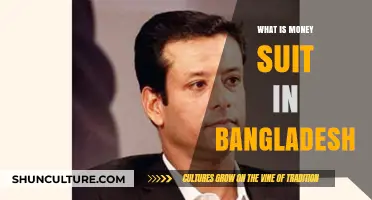Understanding the Money Suit: Bangladesh's Unique Legal Phenomenon Explained