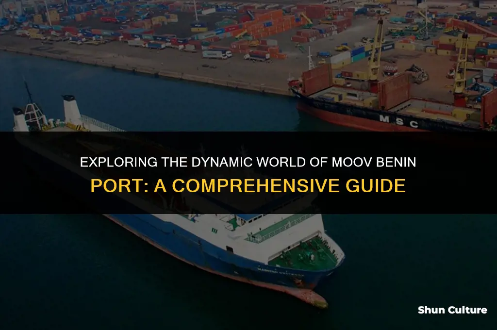 what is moov benin port