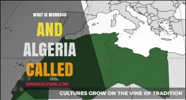 Exploring the Maghreb: Understanding Morocco and Algeria's Regional Identity