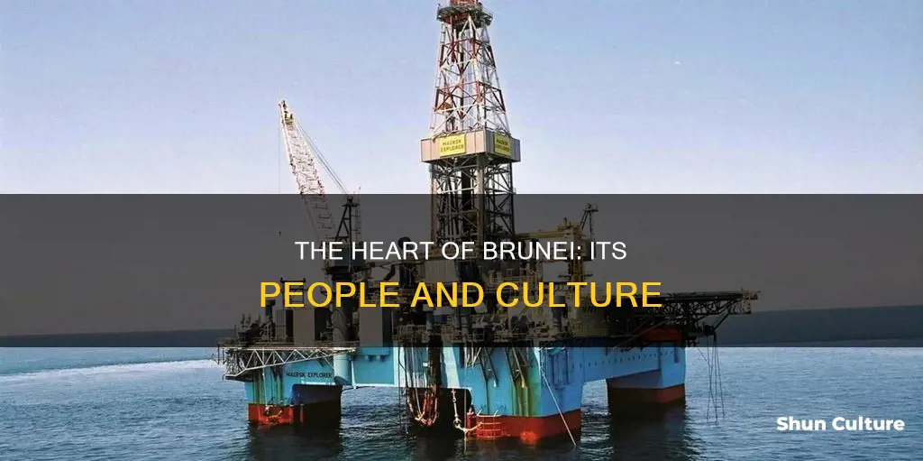 what is most valueable to brunei