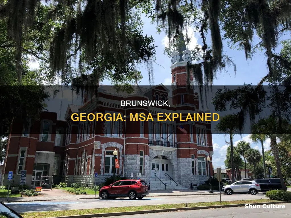 what is msa for brunswick georgia