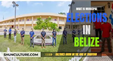 Belize Municipal Elections: Understanding Local Democracy