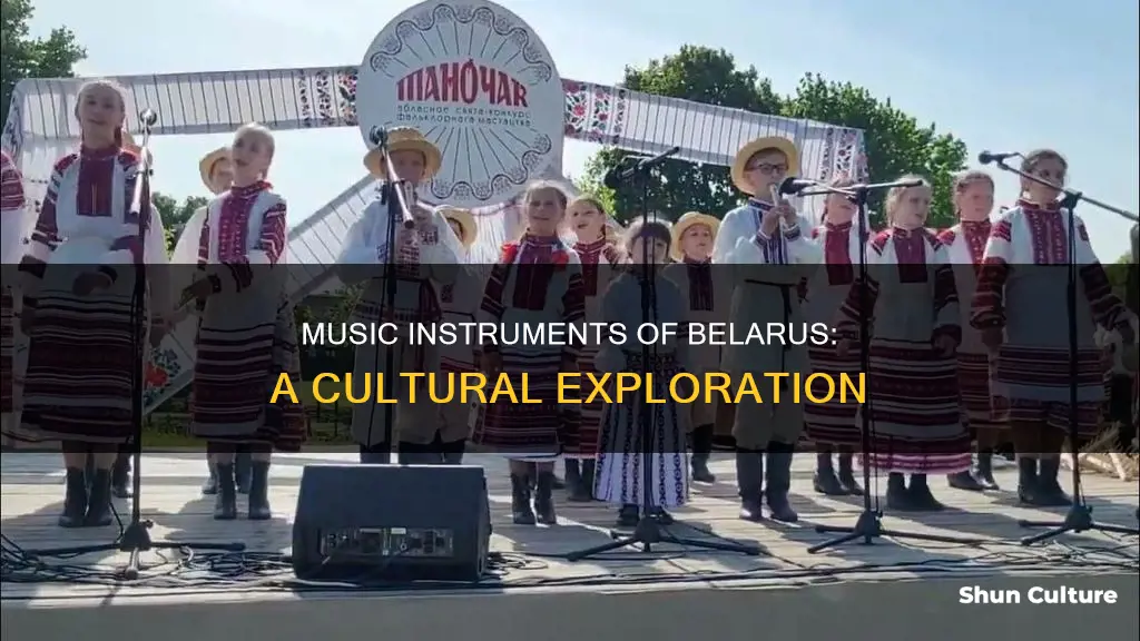 what is music played on in belarus