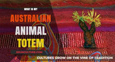 Discover Your Animal Totem in Australia's Wildlife