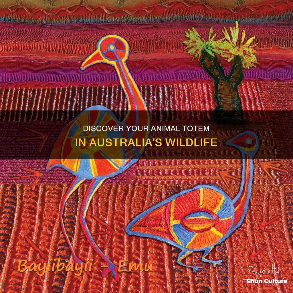 what is my australian animal totem