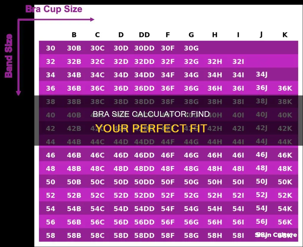 what is my bra size calculator australia