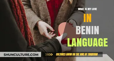 Exploring the Depths of Love in the Benin Language