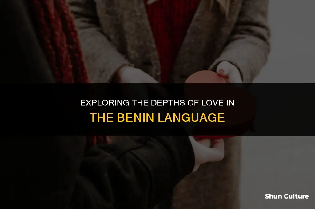 what is my love in benin language