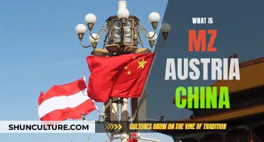 Exploring the Cultural Fusion: MZAustria China's Unique Identity