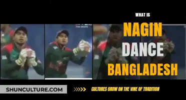 Exploring Bangladesh's Nagin Dance: Origins, Movements, and Cultural Significance
