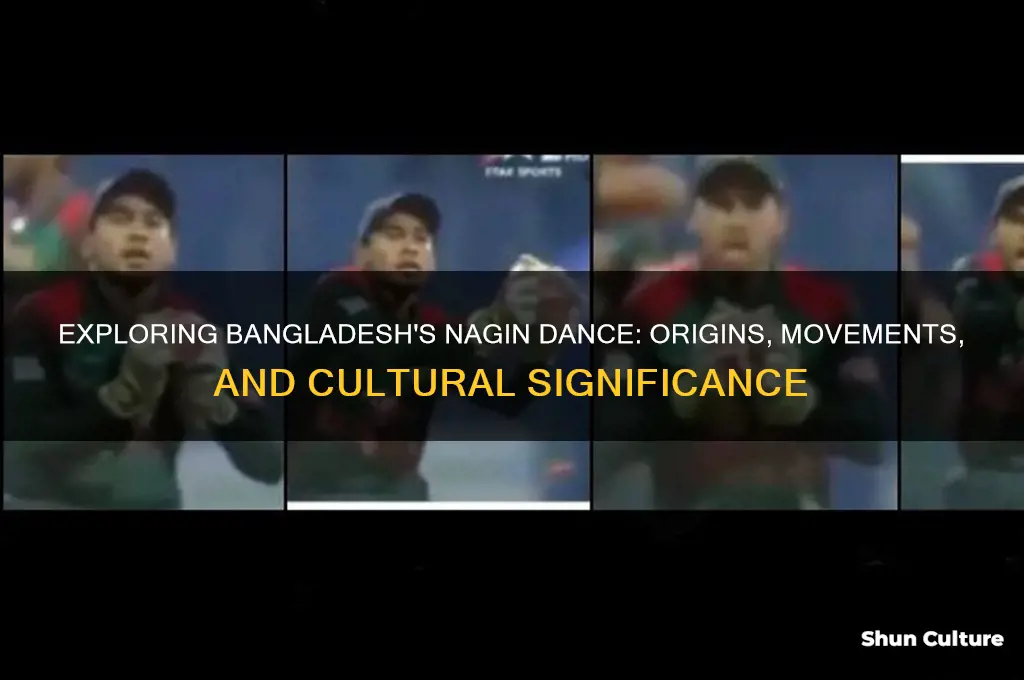 what is nagin dance bangladesh