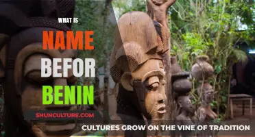 Exploring the Historical Roots: What Was Benin Called Before Benin?