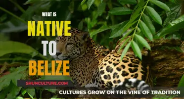 Belize's Natural Heritage: Exploring the Country's Native Treasures