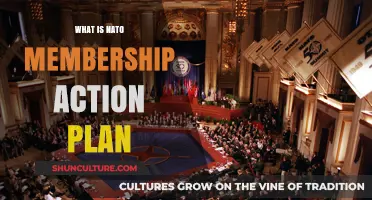 Understanding NATO Membership Action Plan: A Comprehensive Guide to Joining