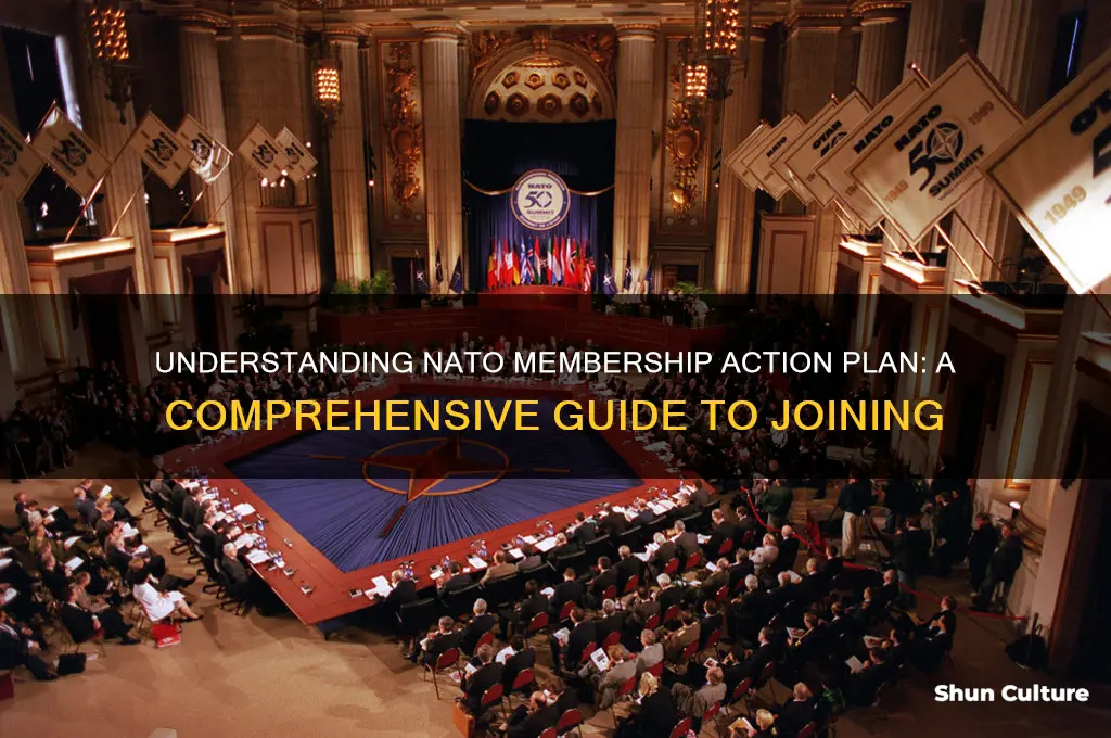 what is nato membership action plan