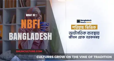 Understanding NBFI Bangladesh: Role, Impact, and Financial Services Explained
