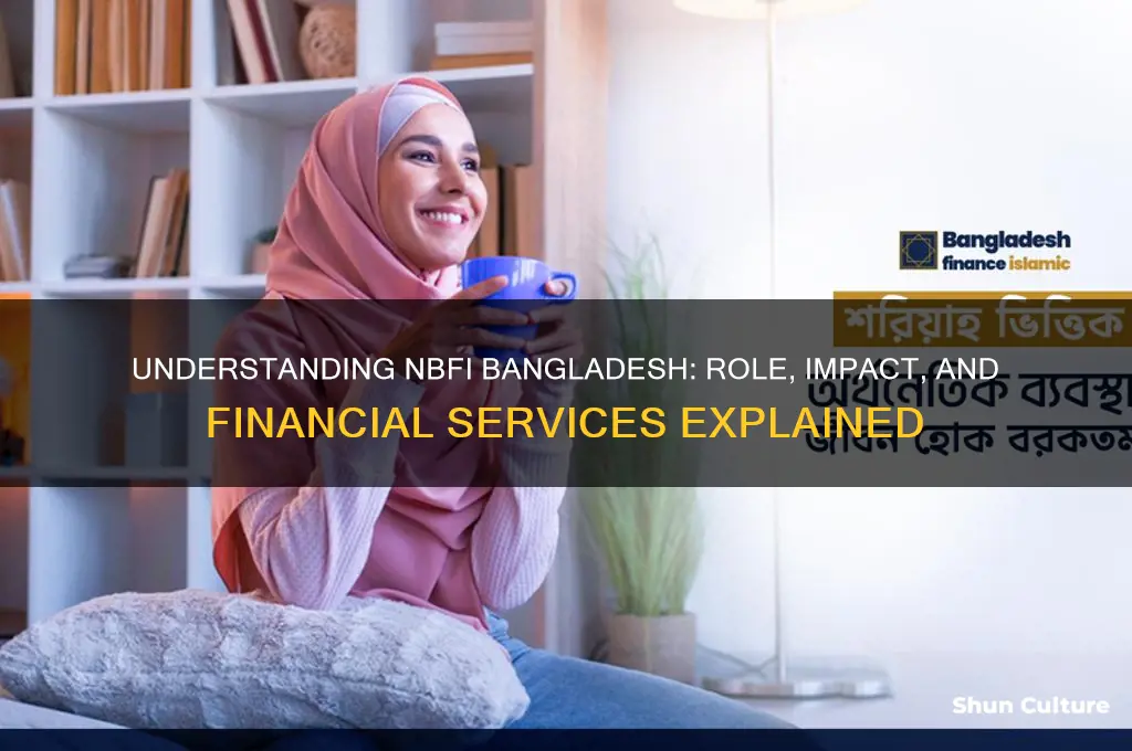 what is nbfi bangladesh