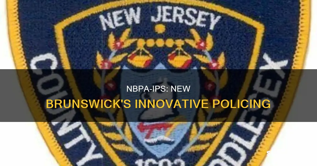 what is nbpa-ips new brunswick