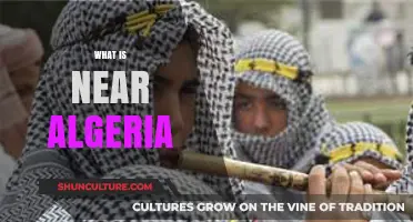 Exploring Algeria's Neighbors: Countries, Borders, and Regional Connections