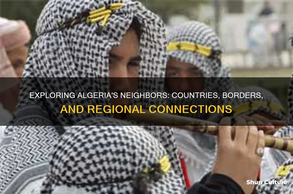 what is near algeria