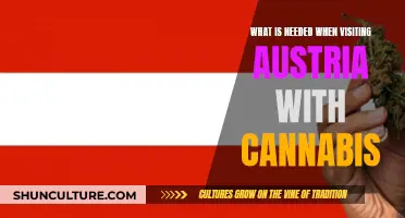 A Comprehensive Guide to Traveling to Austria with Cannabis