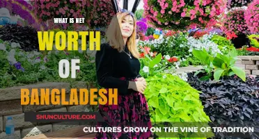 Exploring Bangladesh's Economic Strength: Understanding the Nation's Net Worth