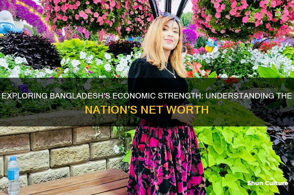 what is net worth of bangladesh