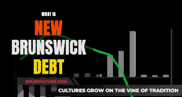 New Brunswick's Debt: A Provincial Concern