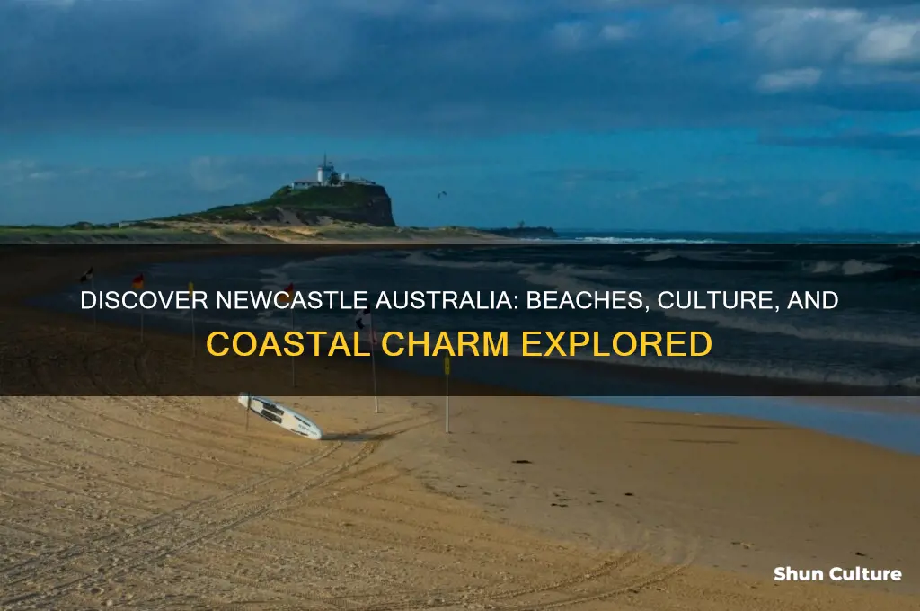 what is newcastle australia like