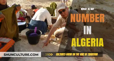 Understanding Algeria's NIF Number: Purpose, Application, and Importance Explained