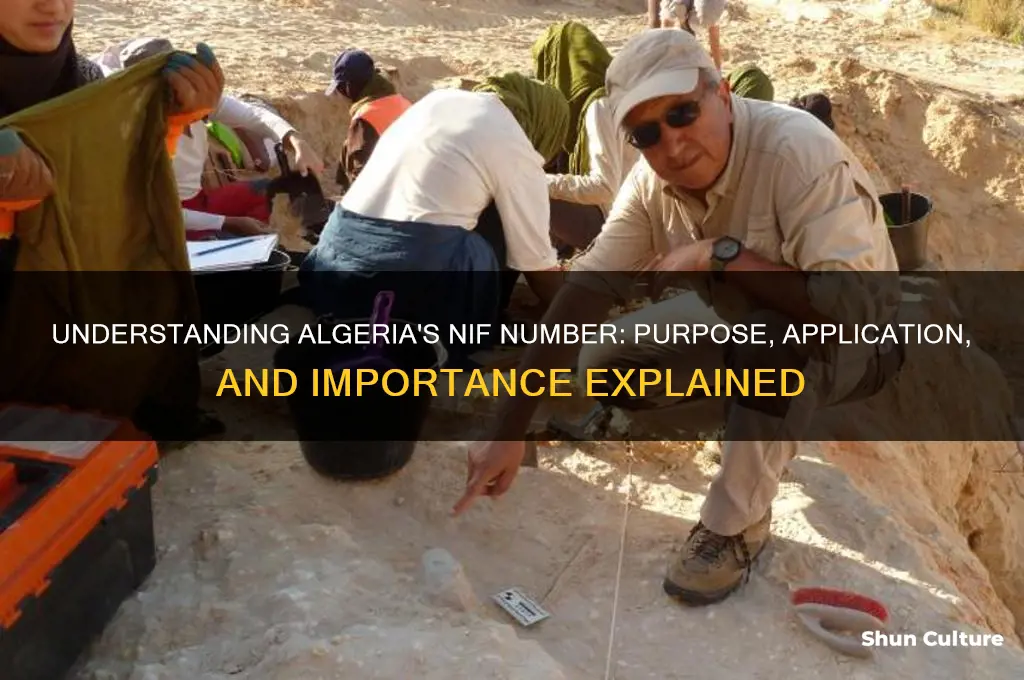 what is nif number in algeria