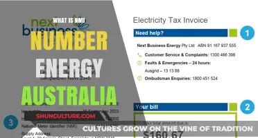 Understanding Energy Australia's NMI Numbers