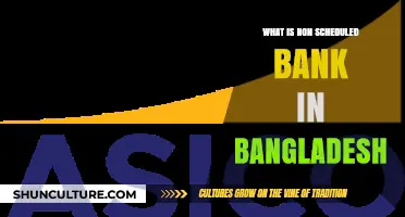 Understanding Non-Scheduled Banks in Bangladesh: Definition and Role