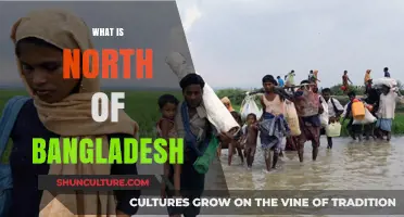 Exploring Bangladesh's Northern Border: Geography, Culture, and Beyond