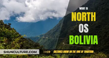 Bolivia's Northern Treasures: Exploring the Unique Upper Lands