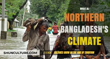Exploring Northern Bangladesh's Unique Climate and Weather Patterns