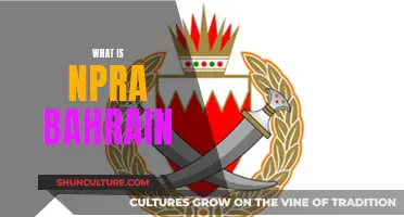 NPRA Bahrain: Understanding the Kingdom's Regulatory Framework