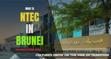 Brunei's NTec: Understanding the Tech-based Initiatives