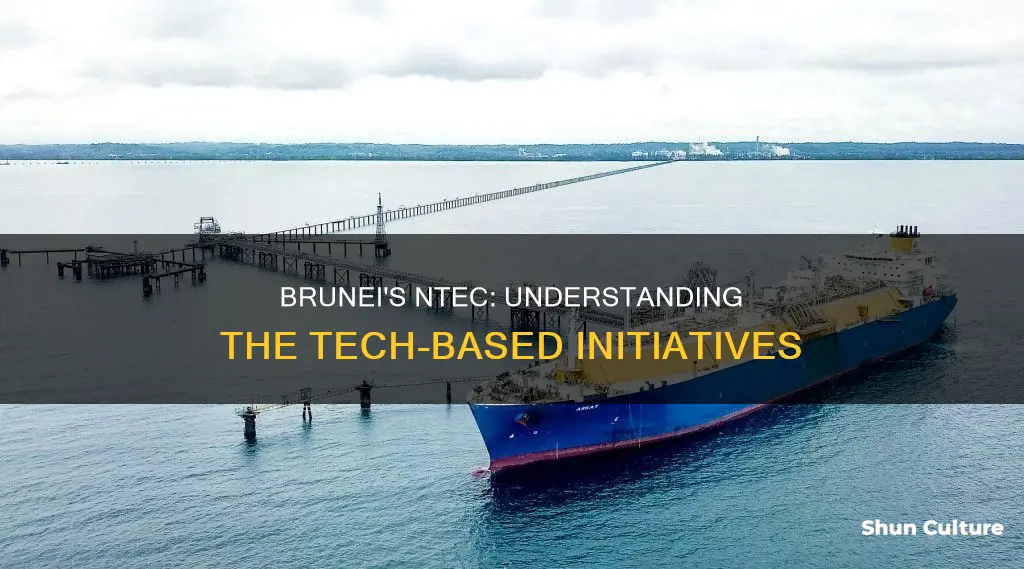 what is ntec in brunei