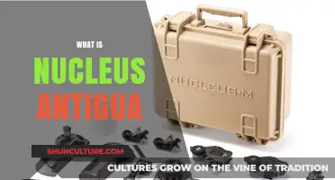 Exploring Nucleus Antigua: A Comprehensive Guide to Its Purpose and Impact