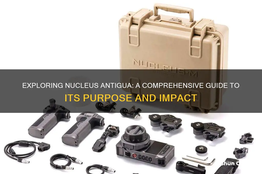 what is nucleus antigua
