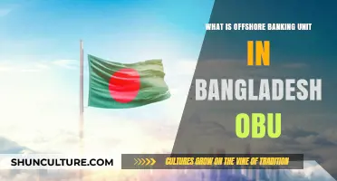 Understanding Bangladesh's Offshore Banking Unit (OBU): Benefits and Operations
