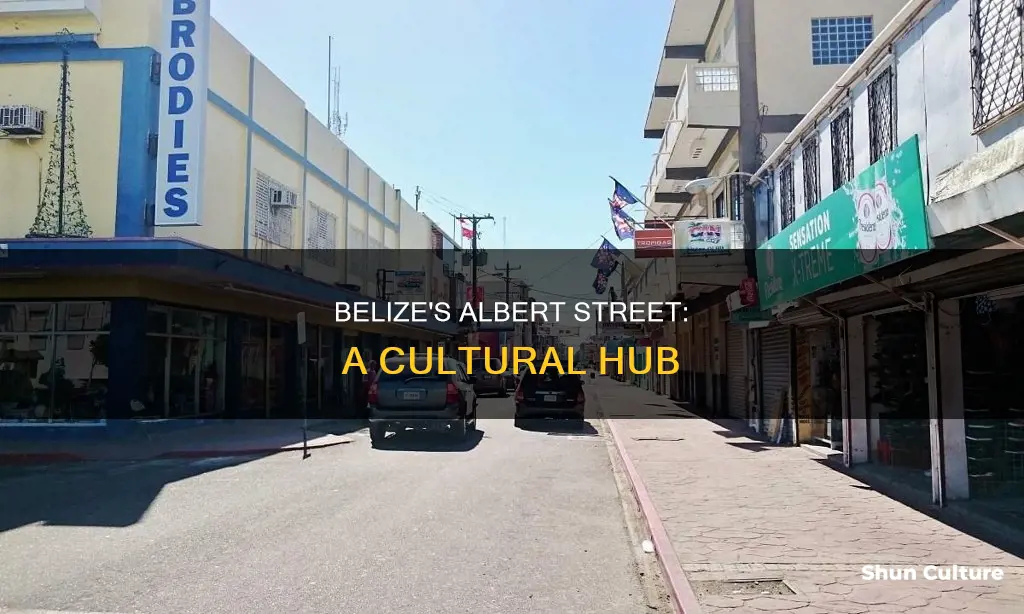 what is on albert street in belize