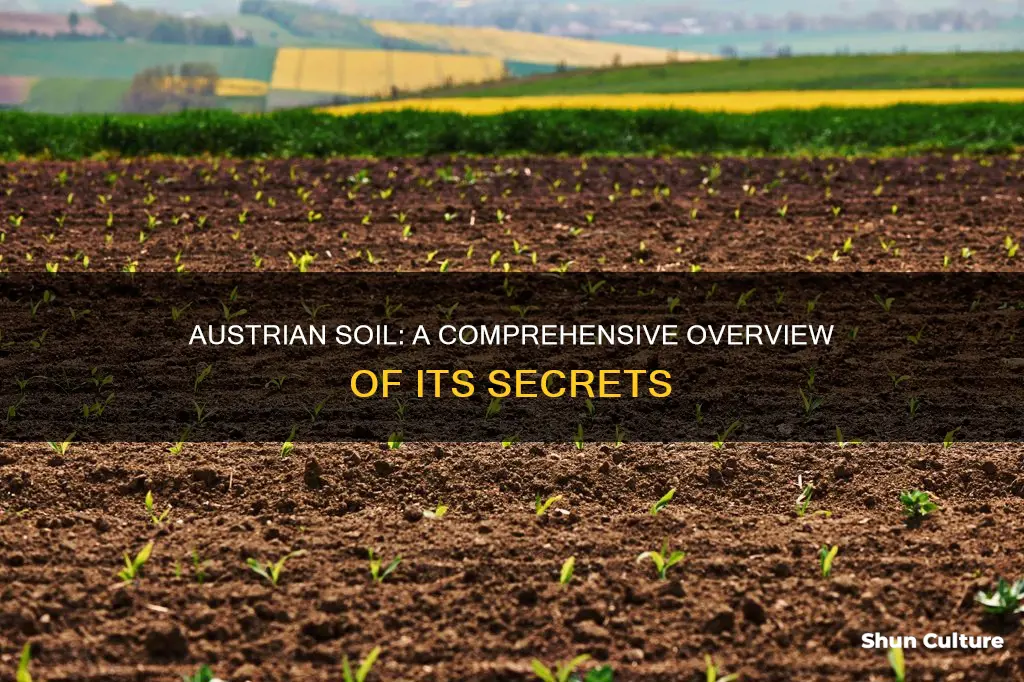 what is on austrian soil about