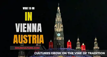 Vienna's Cultural Calendar: Exploring Austria's Historic City