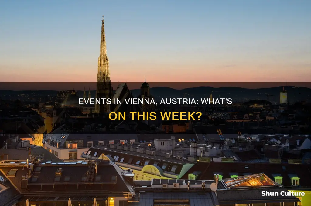 what is on in vienna austria