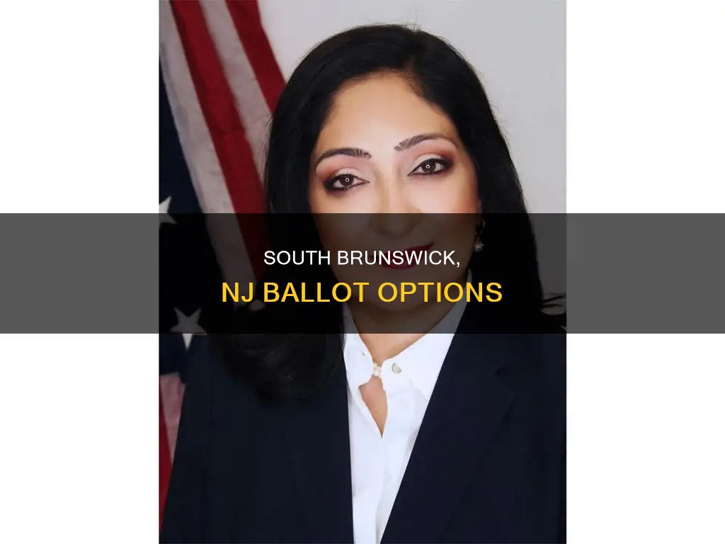 what is on the ballot in south brunswick nj