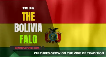 Bolivia's Flag: A Tricolor Tribute to Country's Heritage