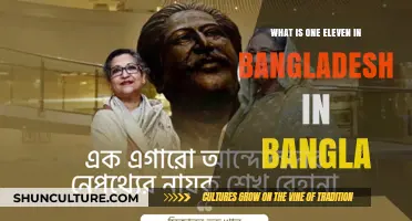 এক এগারো কি বাংলাদেশে কি অর্থ রাখে?